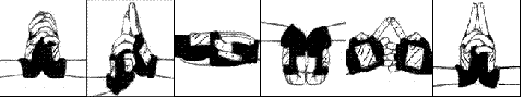 files_5612.preview.gif