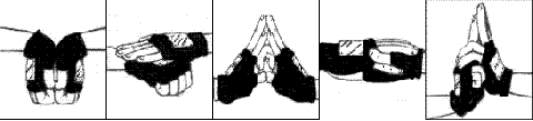 files_5766.preview.gif